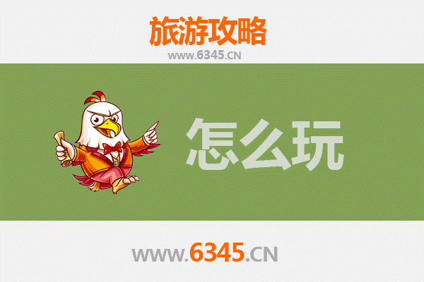节假日探秘鹤岗绥滨：北国边城的冰雪风情与生态之旅